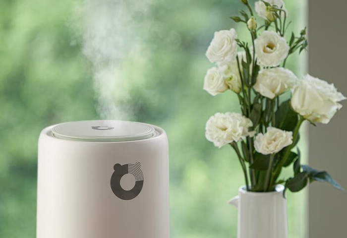 冬季家居，加濕器選購指南